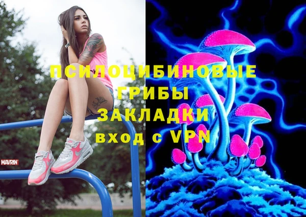 ешки Медногорск