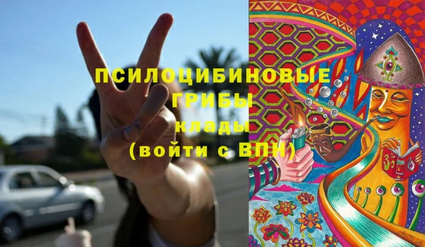 PSILOCYBIN Мегион