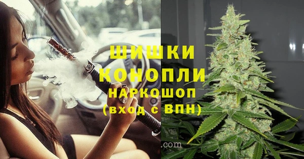 PSILOCYBIN Мегион