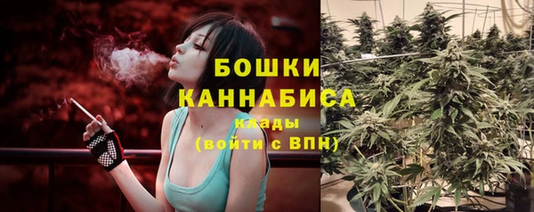 PSILOCYBIN Медвежьегорск