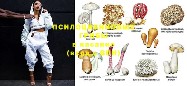 ешки Медногорск