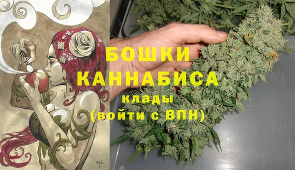 PSILOCYBIN Мегион