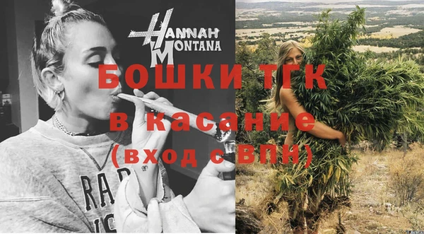 ешки Медногорск