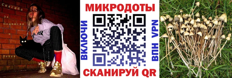 Галлюциногенные грибы прущие грибы  блэк спрут ССЫЛКА  Оханск 