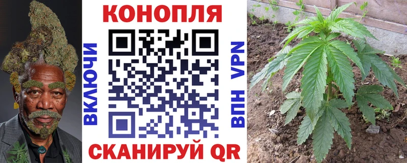 Каннабис план  купить закладку  Оханск 